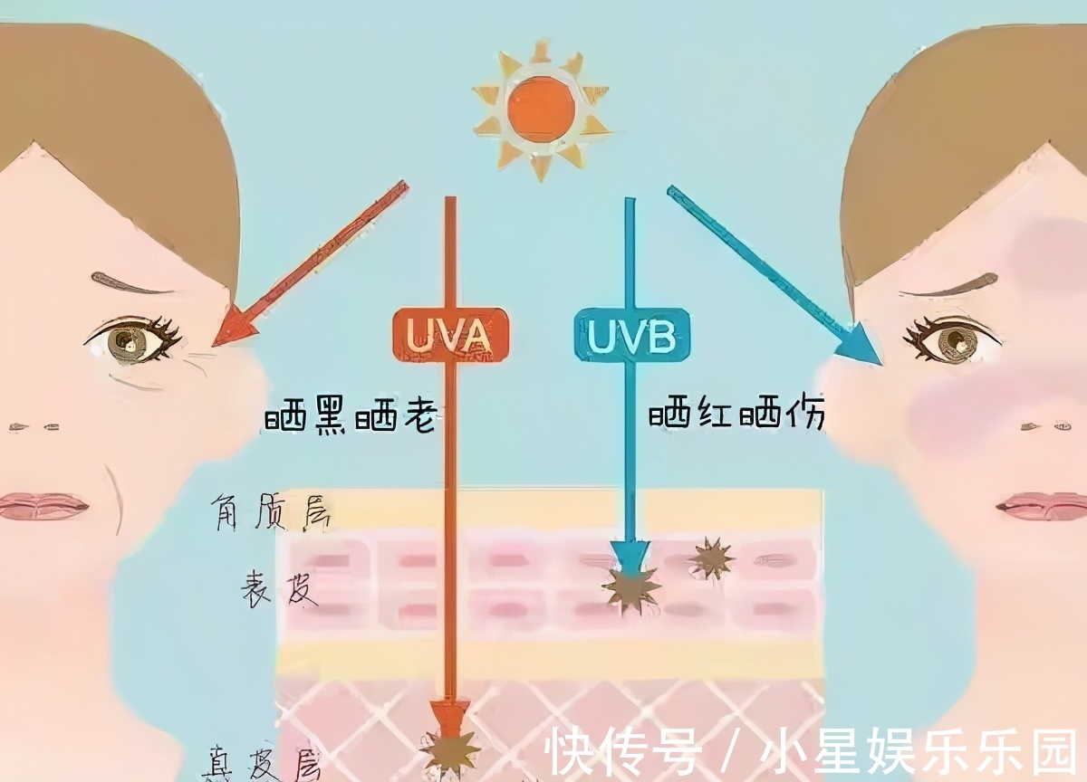 涂抹|涂了防晒还是变黑?超全“防晒霜知识”解析,也许你以前都涂错了