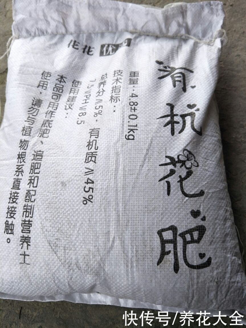 花盆里垫4种“小东西”,花不烂根还透气,根长得超壮