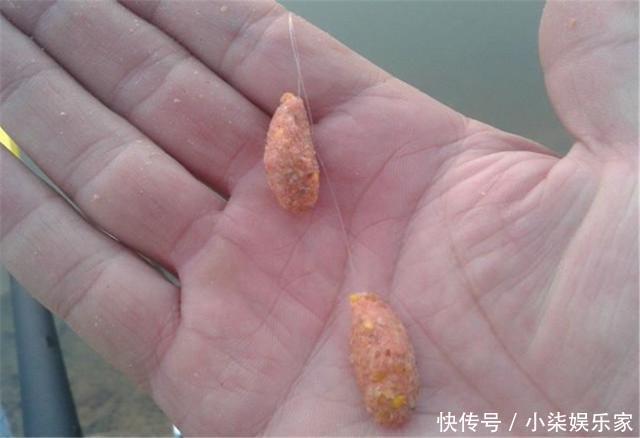 诱惑|这款自制饵料南北通用,夏季钓鲤鱼效果绝佳,鲤鱼无法抗拒的诱惑