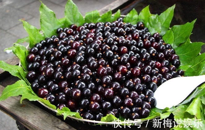 乌梅乌梅|女人怕衰老就多吃此食物，能有效抗衰老，软化角质、皮肤光滑细腻