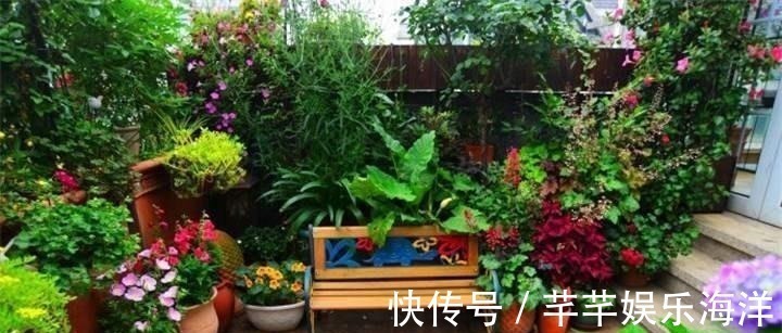 蔬菜水果|家里万万不要养这几种花,放一盆都会对身体不好,聪明人都懂避开