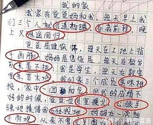 小学生为凑字数“硬塞”成语，语文老师别说是我学生，太有才