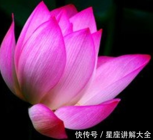 好运|步入10月底,吉星照耀,4属相贵人相助,事业步步高升,生活美满