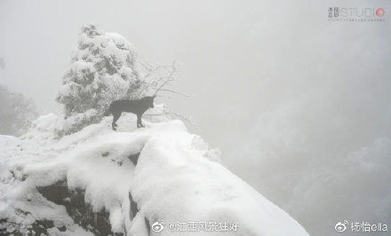 仙山|江西三清山游记：这座仙山，产在人间