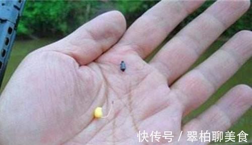 野钓绝杀饵料：鸡蛋的多种用法，别看饵料简单，效果可不一般！