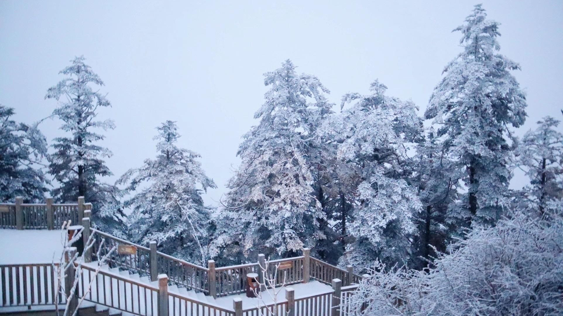 首降|成都西岭雪山首降今冬最大的一场雪，有望提前滑雪