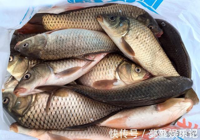 美味|中老年人别舍不得花钱，少吃肉多吃这5种食物，营养美味身体棒