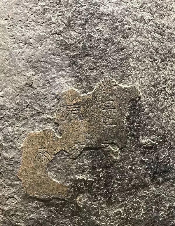 出土|中华第一古物——陈仓石鼓,出土后的坎坷1300余年