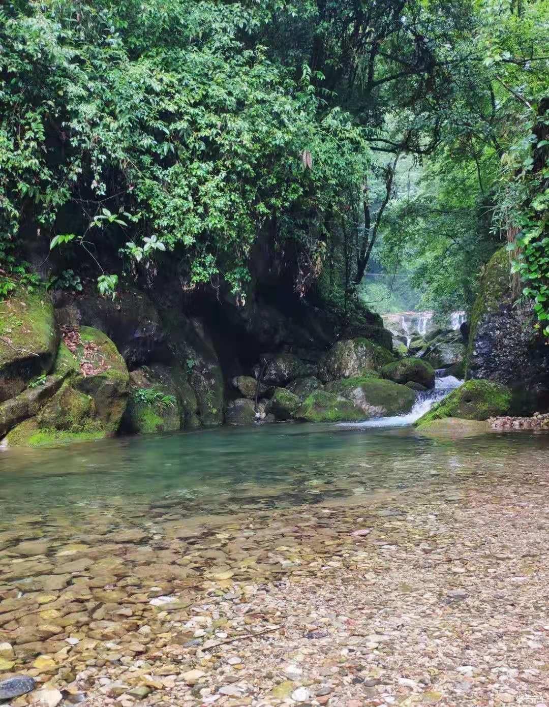 桃花源|醉氧青城后山