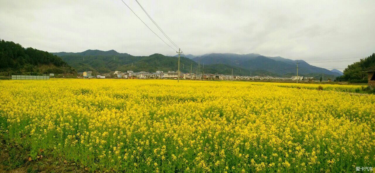 浙江|爱在山花烂漫时