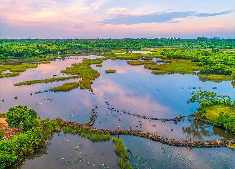 湿地|海南海口：湿地绘就生态画卷 绿意尽染延河岸