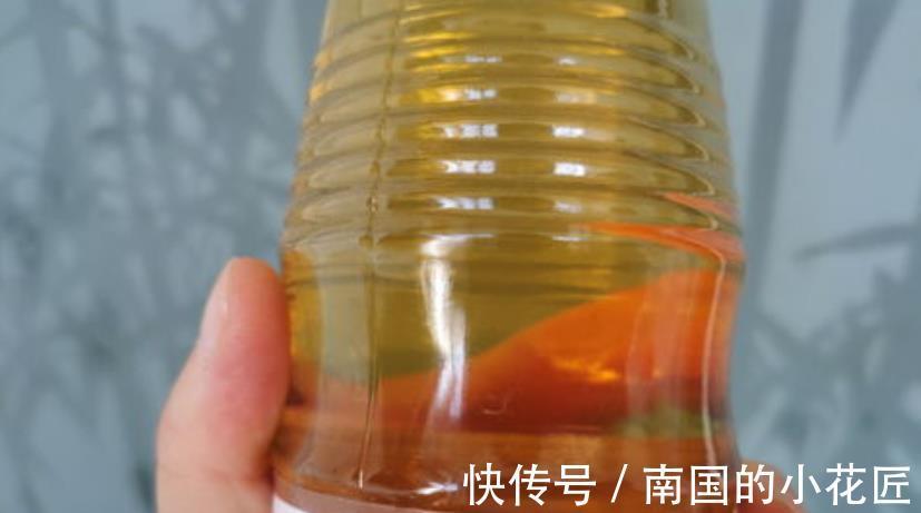 好处|用米醋来养花,于新人而言,至少有3大好处,值得一试