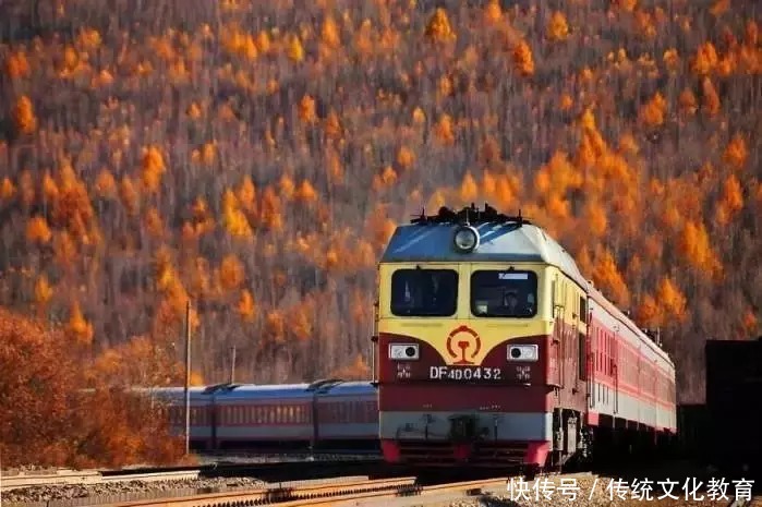 疲惫于|最高级的教育,是教孩子“无用”的东西