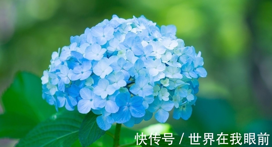 思念|6月底，心动很久，思念很长，倾心相待，3生肖月老推动，再续前缘