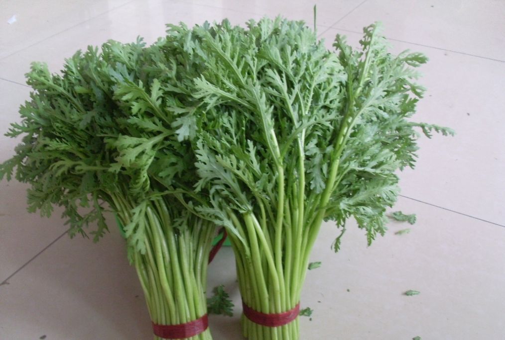 茼蒿炒鸡蛋|再次提醒:吃茼蒿不能碰此物,同食可以说是没病找病,许多人不清