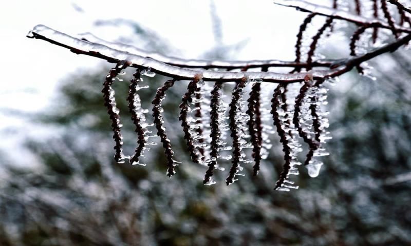 打卡|美翻了！贵阳云雾“冰雪世界”成网红打卡地