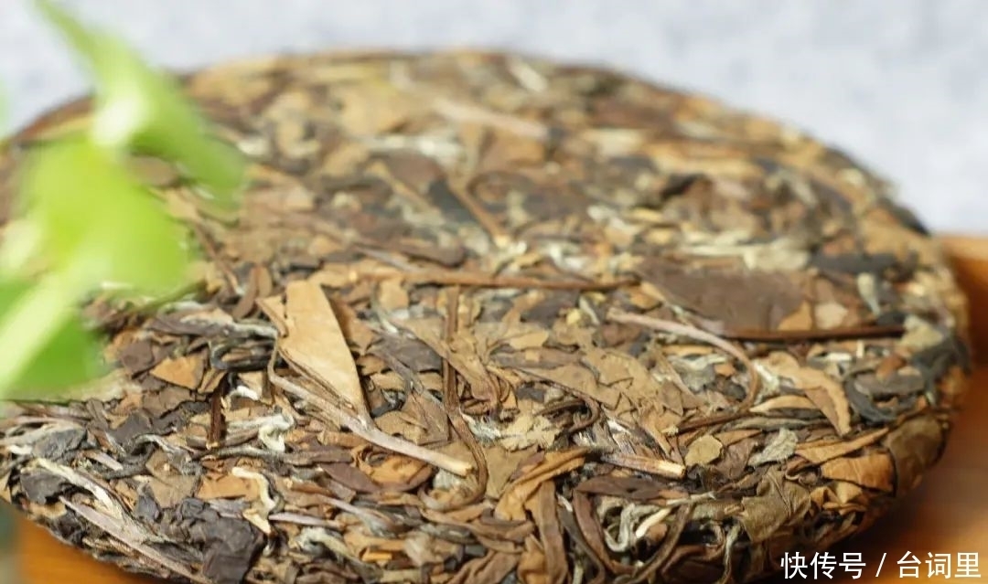 適合冬天喝的6種茶，不止紅茶