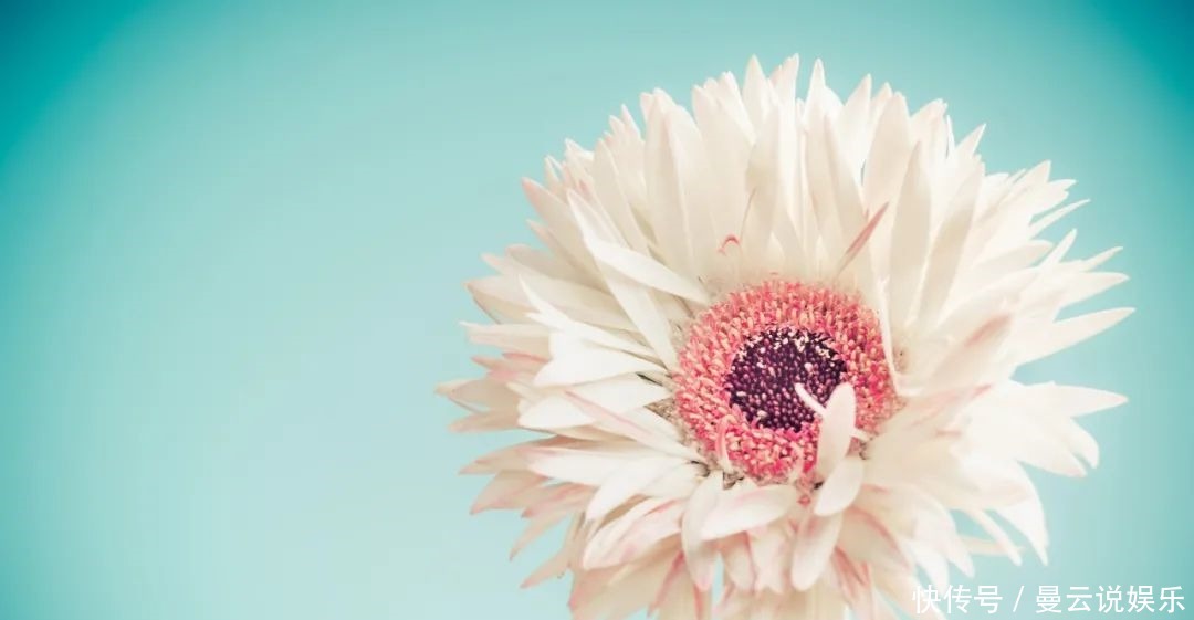 一眼万年的诗词句子有人哭,有人笑,有人输,有人老