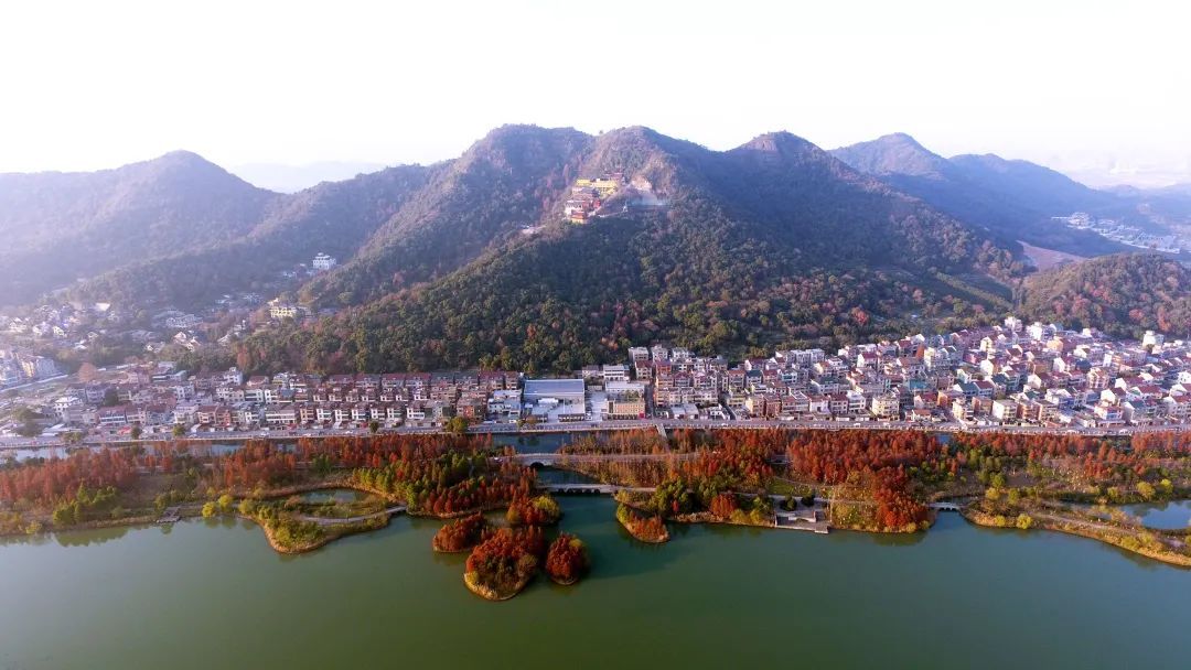 老虎洞村|虎年，萧山这些地名都很“虎”