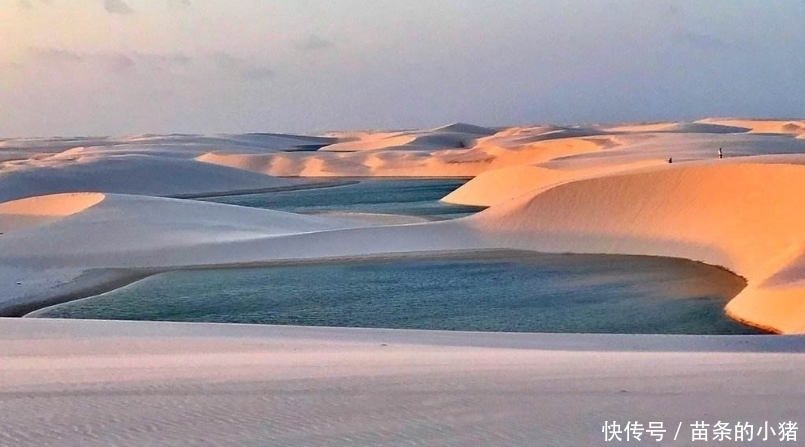 旱季|世界最“丢脸”的沙漠，本应该漫天黄沙，如今却遍地湖泊鱼虾成群