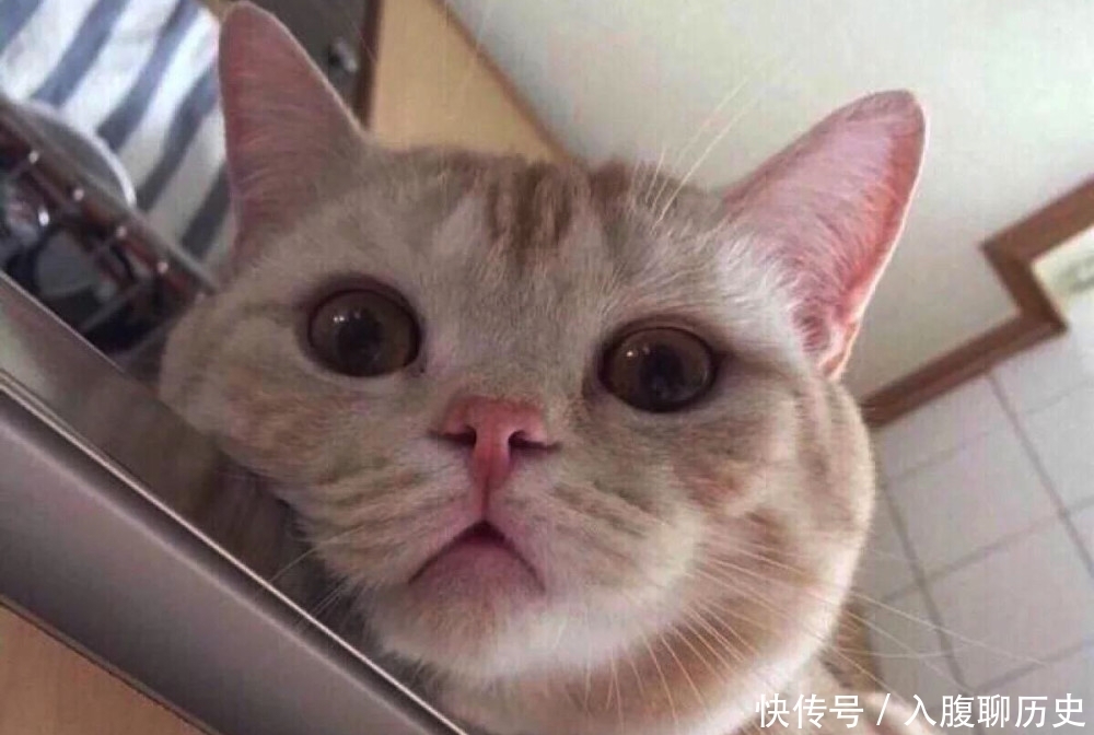 说起|十五的月亮十六圆,为何中秋节不是十六?这事儿从文化基因说起