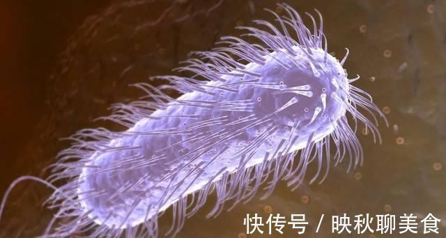 治疗|查出幽门螺杆菌阳性一定要治疗教你一个小方法既能杀菌又养胃