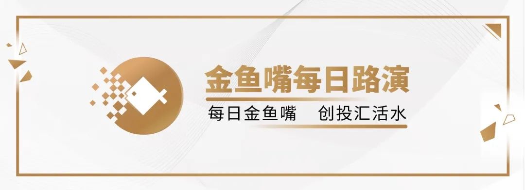 对话金鱼嘴 | 互联网科技公司