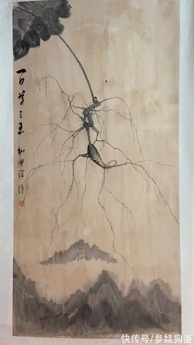 野生人参纯度鉴别