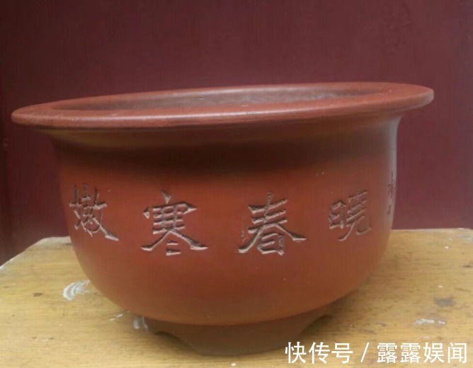 花盆别乱用，用对了花儿蹭蹭长，用错了花死得快！