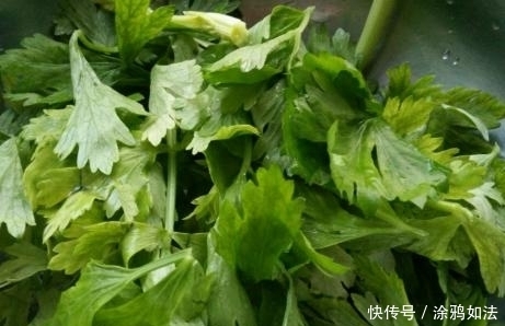 浪费|芹菜叶扔了太浪费,加上面粉做丸子,简单好做香又脆,太馋人