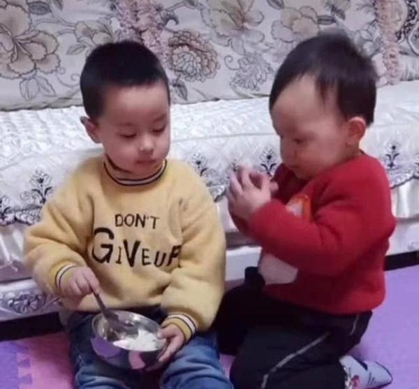 宝妈|哥哥独占饭碗,弟弟高情商讨要食物,宝妈“一箭双雕”方法太赞