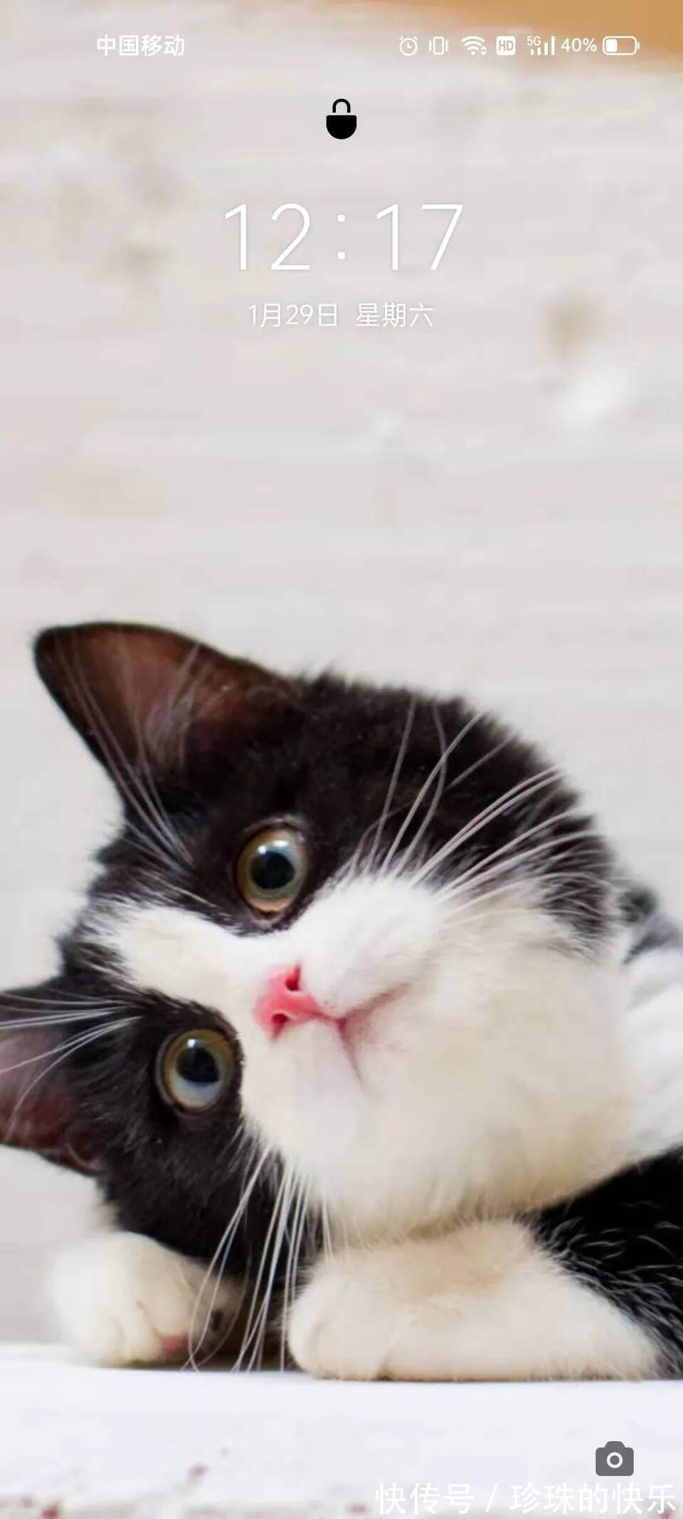 拜年|必存!新年拜年表情包丨第310期热门表情包