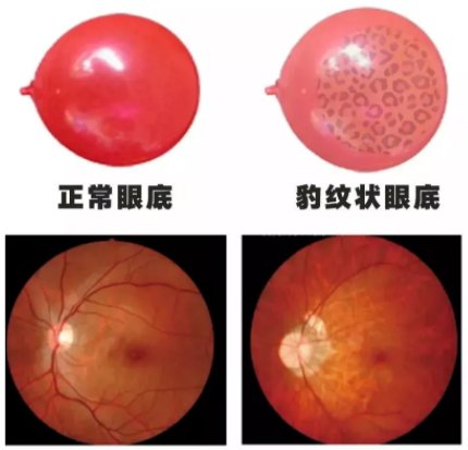 病理|600度以上和以下区别是什么？