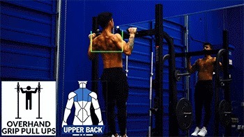 斜方肌|健身练背合集,每1块背肌都给你安排的明明白白