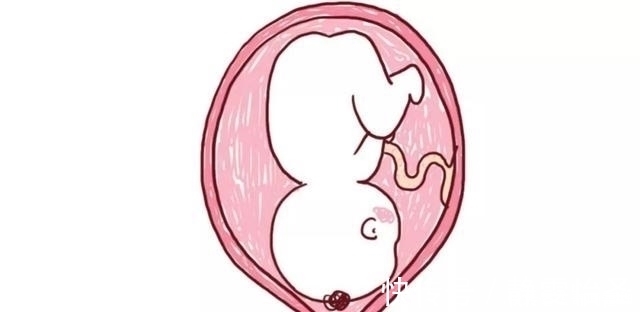 子宫|顺产时你痛得死去活来,那宝宝是什么“感受”呢?看完别笑出声