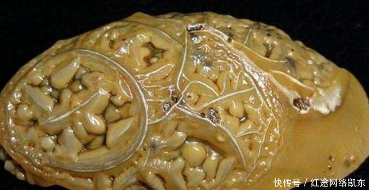 丑陋|一块长相丑陋的石头也能价值不菲?行家都说难得收藏!