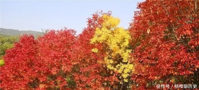 宋后第一女词人贺双卿的秋天
