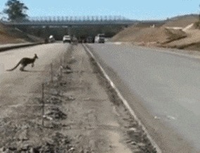 |搞笑GIF:千万别惹女司机,疯起来连自己车都砸!