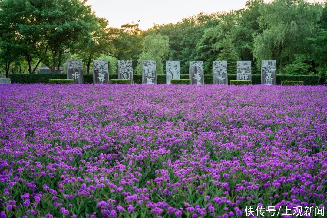 教学楼|本周日，华东师大招生咨询校园开放日来了