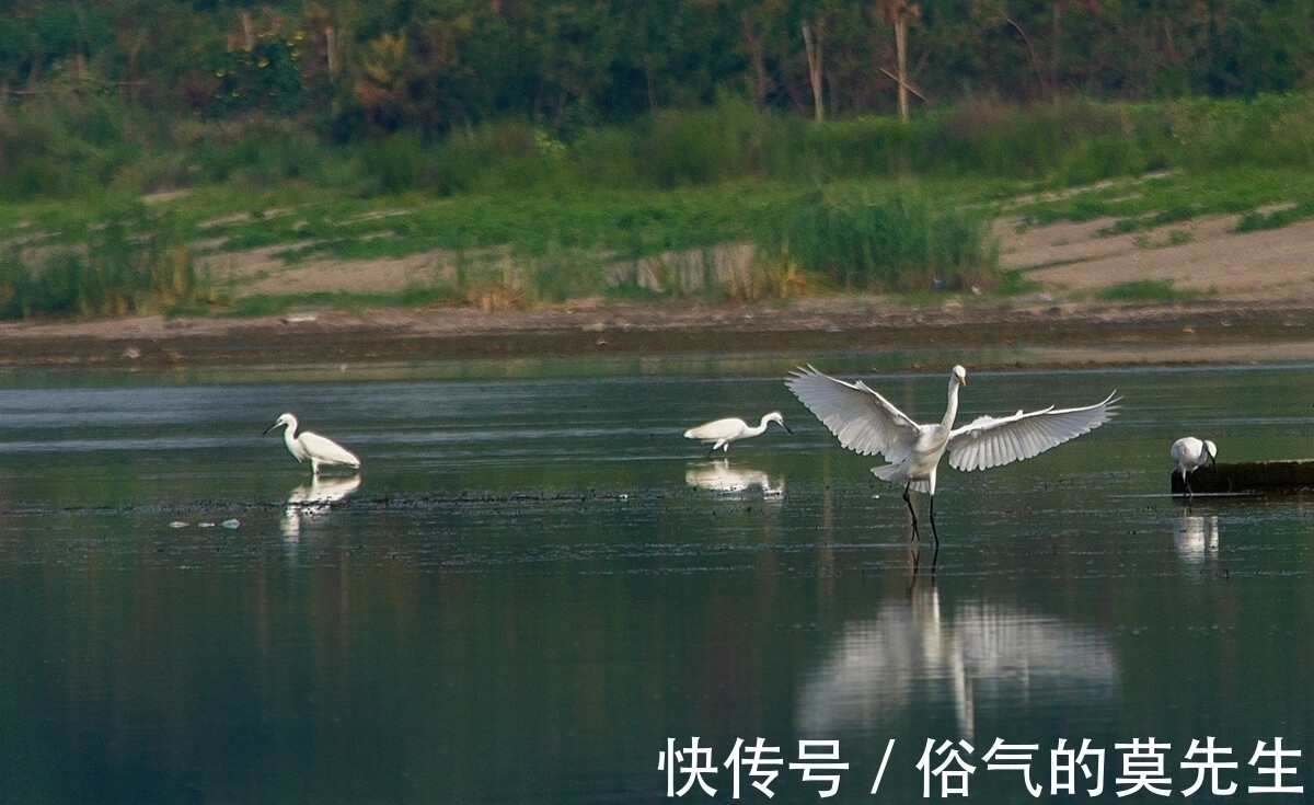 赏心亭#陆游初秋时登亭远眺,创作了一首七律,沉郁悲壮,又跌宕起伏