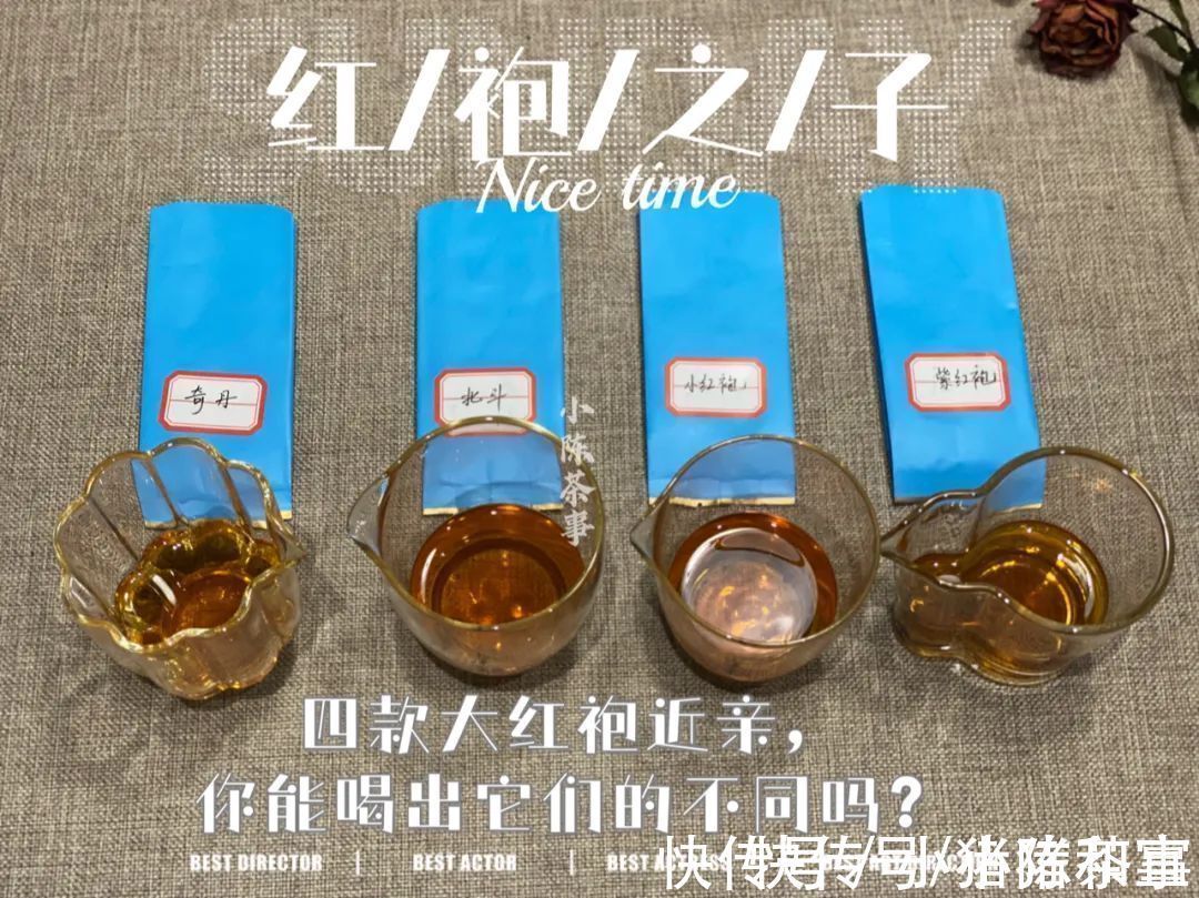 李麻花$四则茶圈秘辛,讲述大红袍后代们的跌宕故事,走进岩茶的历史变迁