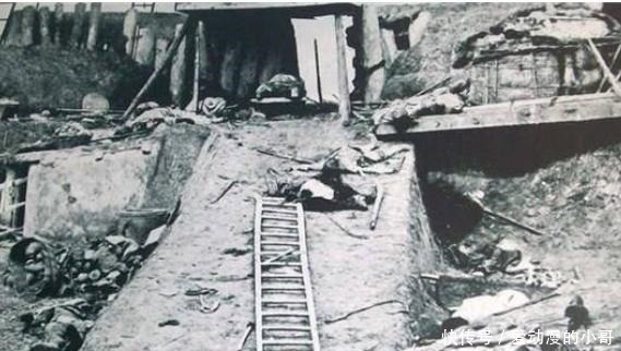 起头|统治东西方两大国的女王,祸害中国亿万百姓,让中国百年抬不起头