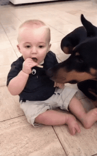 |搞笑GIF趣图年青人,给我助个力!大爷:卧槽!