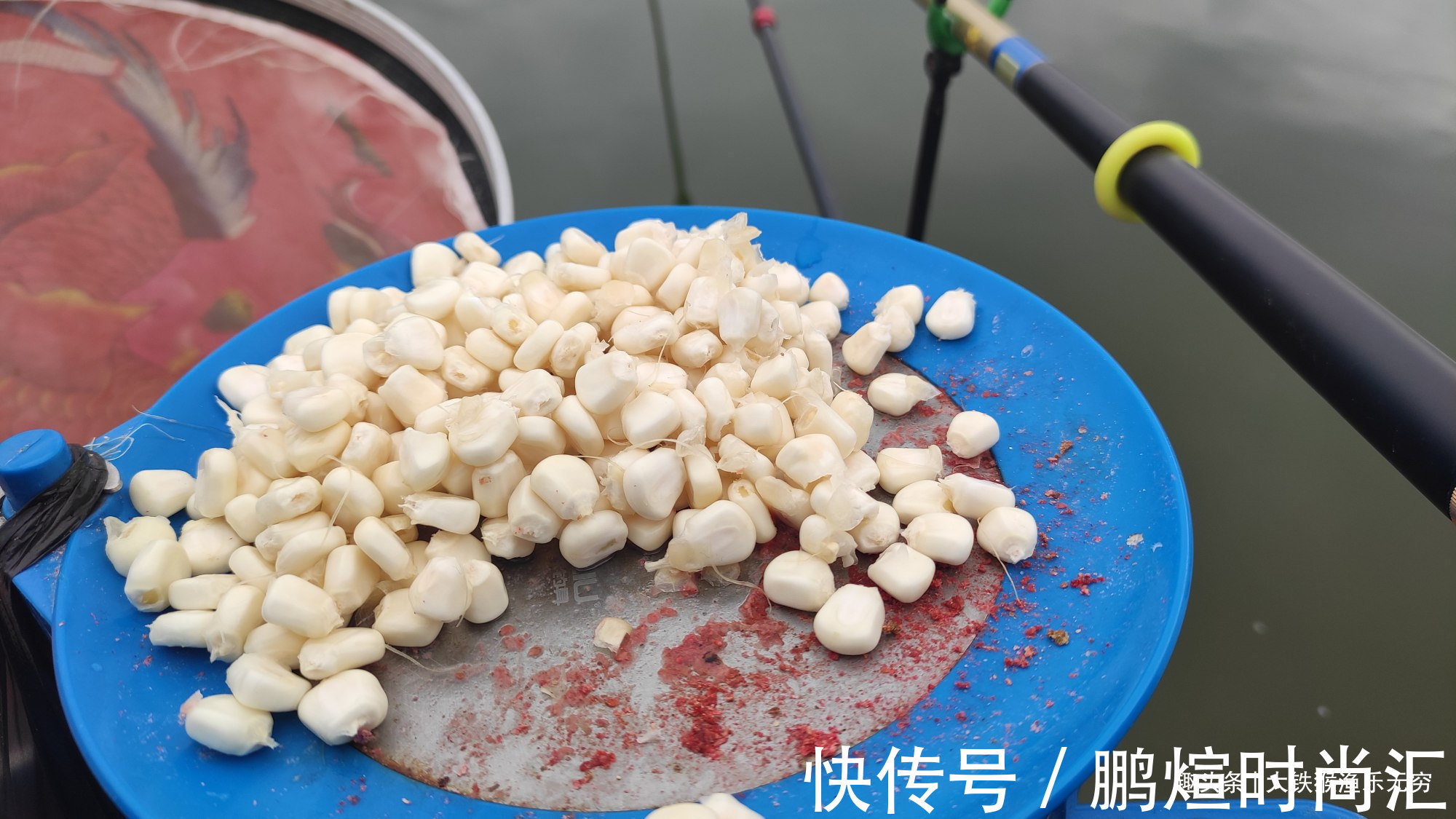 这才是玉米最牛用法,学会之后,狂拔大鲤鱼十拿九稳哦!