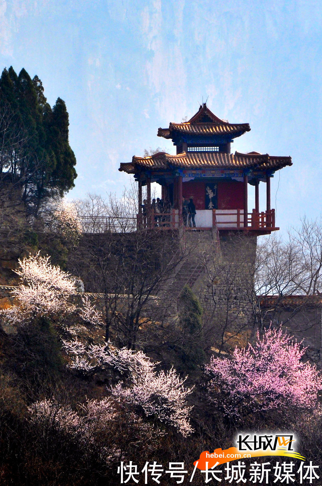 「高清组图」花开燕赵·美丽河北｜花开天桂山