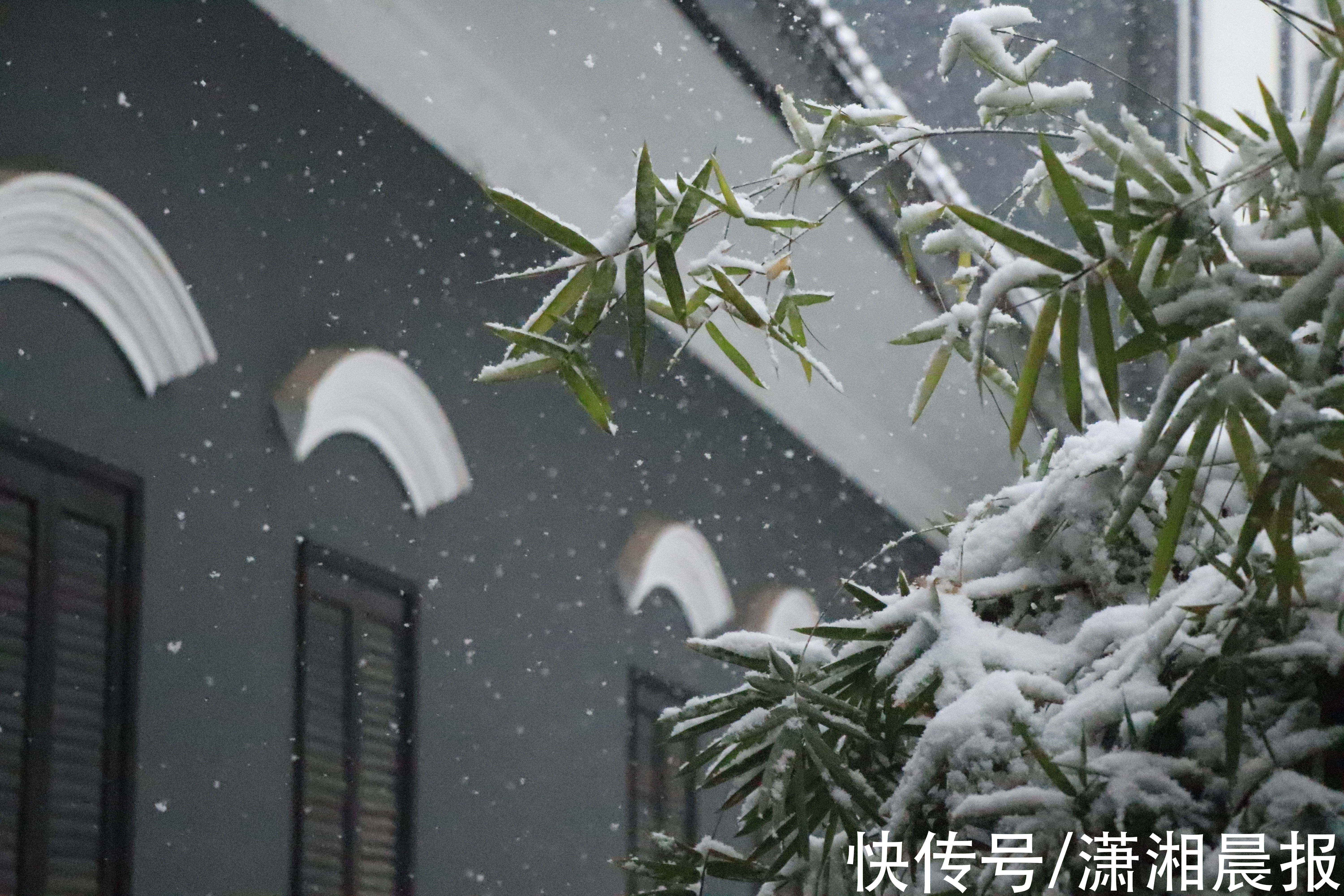 长沙|长沙初雪自带美颜滤镜，校园里“千树万树梨花开”