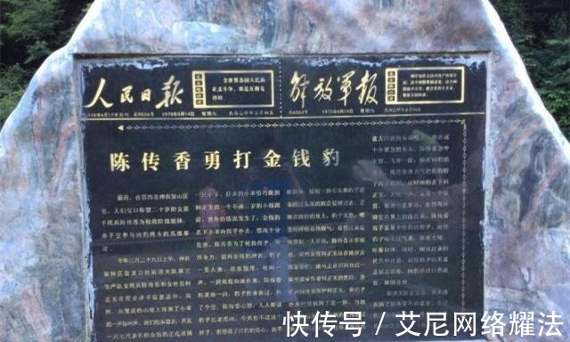 陈传香|当代“女武松”陈传香，赤手空拳打死金钱豹，后来结局如何？