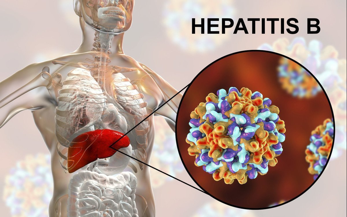 肝功能|天然“养肝宝”已公布，枸杞这样吃，肝炎不恶化，肝脏轻松干净