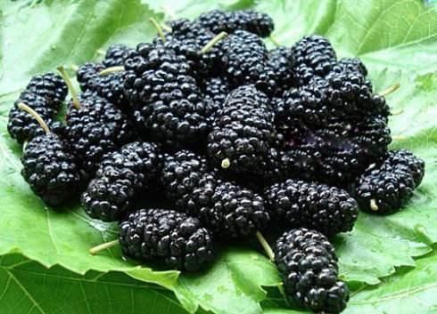 肾虚的人会有6个表现在身体，教你一些妙招，