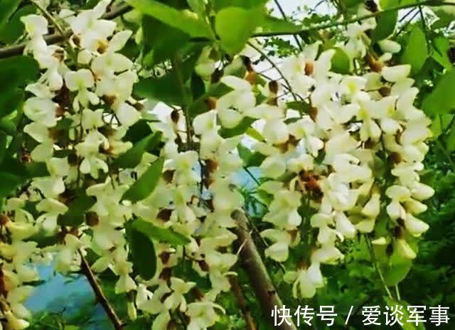 营养成分|适合女性吃的3种食物，排毒养颜，滋润肌肤，爱吃就赚了